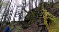 22_22. Mai 21_G Wanderung Grenchenberg (108)